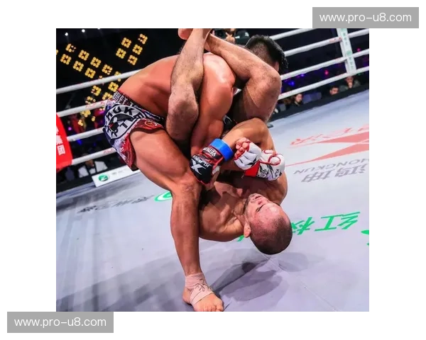 铁笼之巅的哲学对垒：张立鹏与巴西柔术教头的绝地博弈