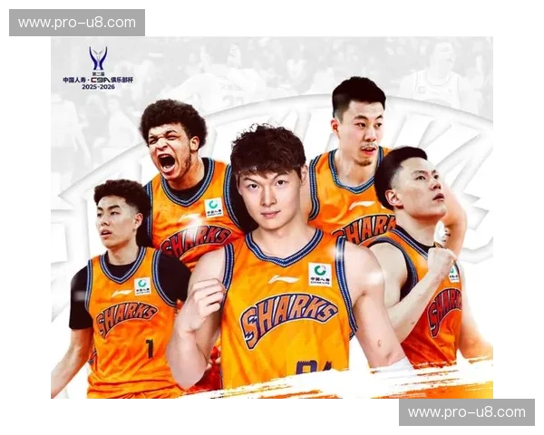 巅峰对决，荣耀之争：CBA山东vs四川，一场篮球盛宴的全面解读